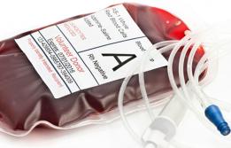 Transfusió de sang i/o hemoderivats a Vall d'Hebron