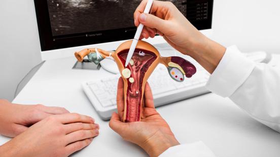 Gynaecological Endocrinology