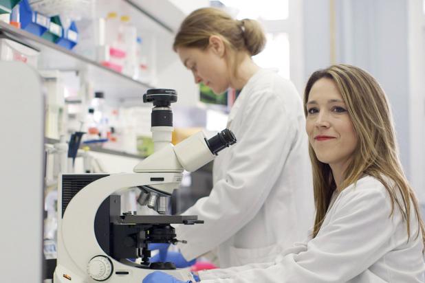 La recerca a Vall d'Hebron Barcelona Hospital Campus Un Campus on fem assistència, recerca i docencia